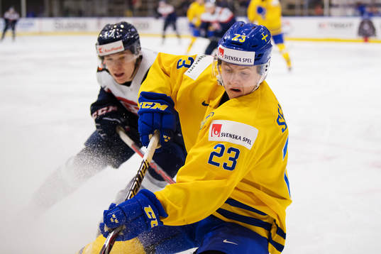 Slovakiens Milos Kelemen och Sveriges Jesper Sellgren