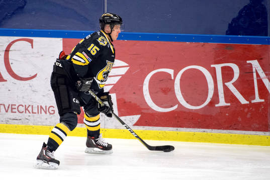 Panterns Carl Johan Lerby