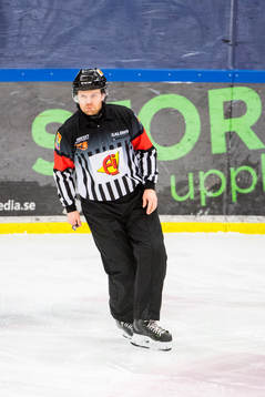 Domare Filip Sandstedt