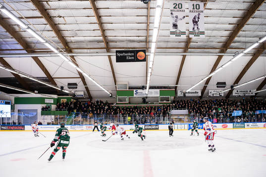 Rink och läktare