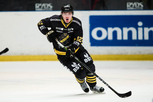 s Max Lindholm