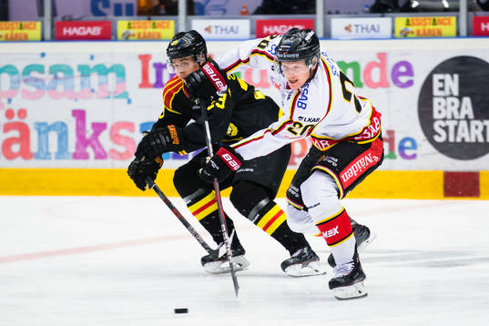 Luleås Gustav Rydahl och Brynäs Lucas Carlsson