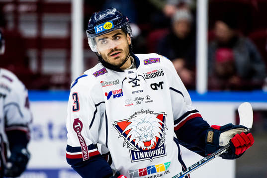 Linköpings Almen Bibic