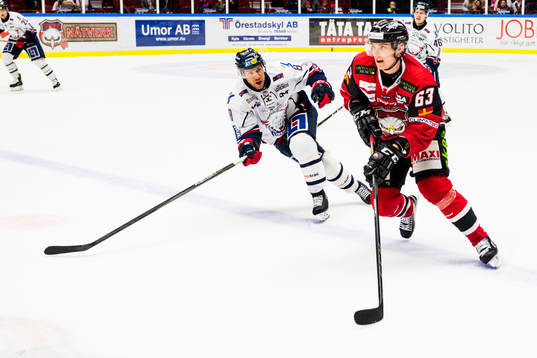 Linköpings Derek Roy och Malmö Redhawks Fredrik Händemark
