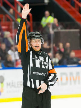 Domare Mikael Holm