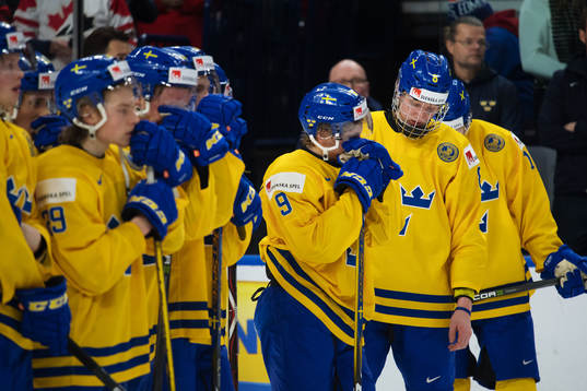 Sveriges Rasmus Dahlin deppar
