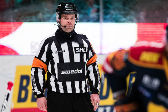 Domare Patrik Sjöberg