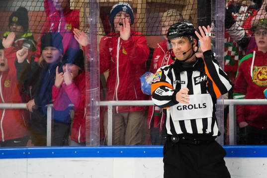 Domare Mikael Nord