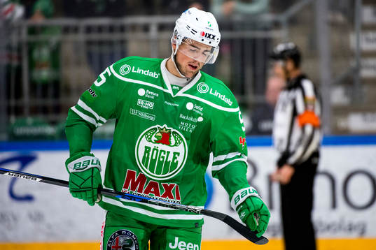 Rögles Alen Bibic deppar