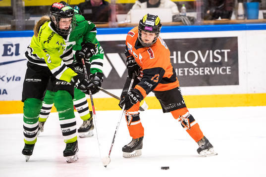 Karlskronas Lovisa Mann