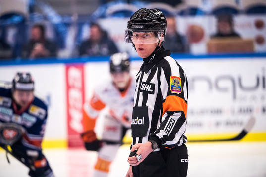 Domare Mikael Holm