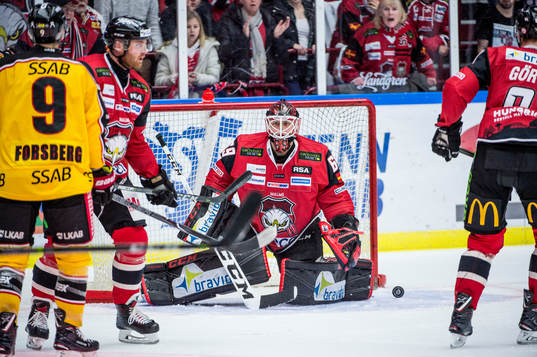 Malmö Redhawks målvakt Oscar Alsenfelt deppar