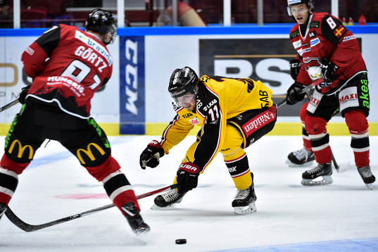 Luleås Petter Emanuelsson och Malmö Redhawks Max Görtz