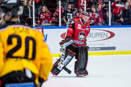 Malmö Redhawks målvakt Oscar Alsenfelt deppar