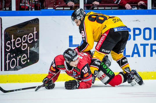 Luleås Ryan Johnston trycker till Malmö Redhawks Robin