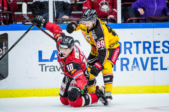 Luleås Ryan Johnston trycker till Malmö Redhawks Robin