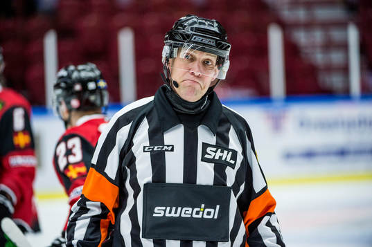 Domaren Morgan Johansson