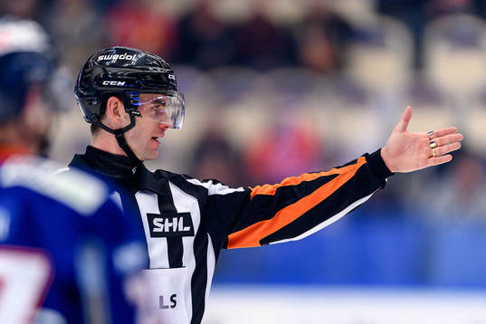 Domare Richard Magnusson