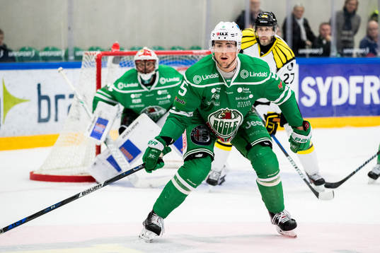 Rögles Alen Bibic