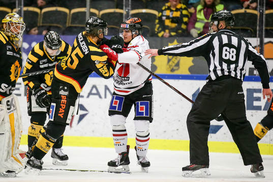 Skellefteås Michael Kostka