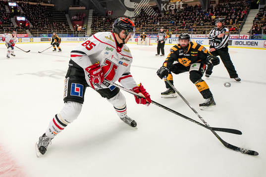 Skellefteås Johan Alm