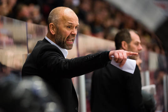 Brynäs tränare Tommy Sjödin