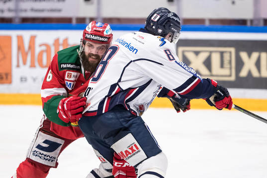 Moras Steven Seigo och Linköpings Derek Roy  i