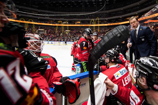 Malmö Redhawks assisterande tränare Martin Filander