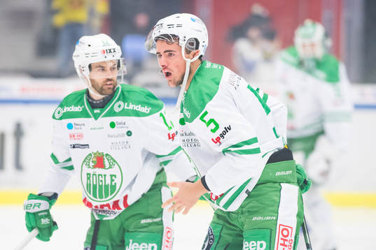 Rögles Alen Bibic