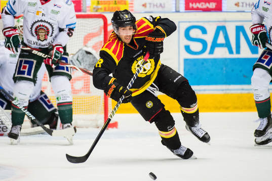 Brynäs Aaron Palushaj