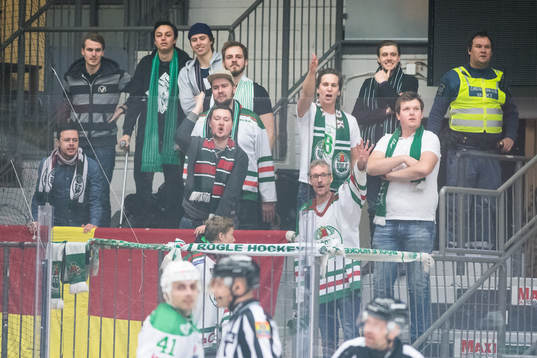 Röglesupportrar
