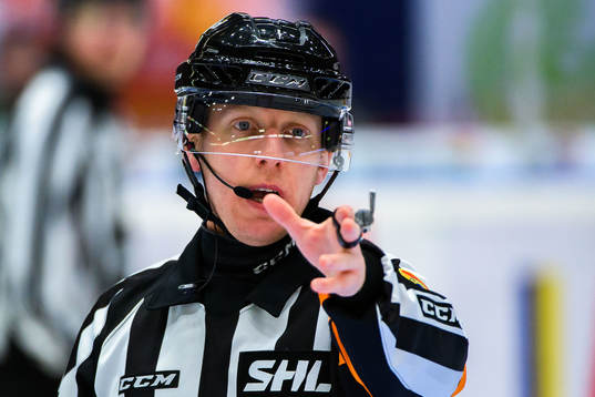 Domare Mikael Holm