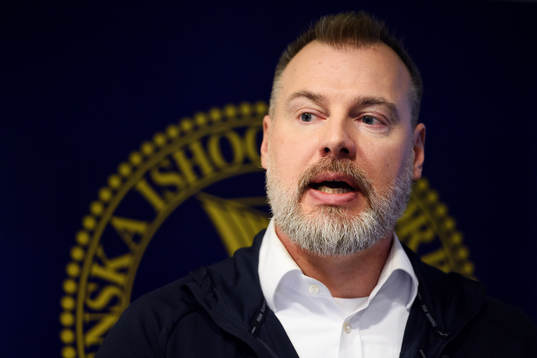 Förbundskapten Rikard Grönborg