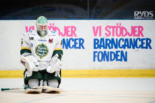 Björklövens målvakt Adam Werner