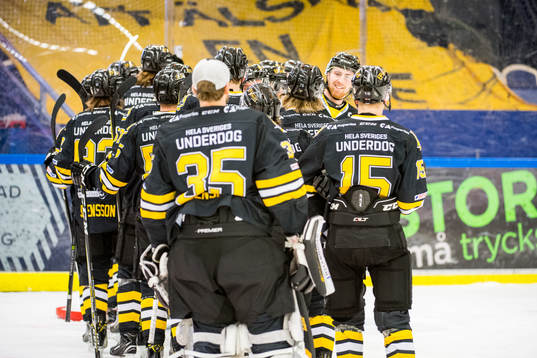 Panterns spelare jublar
