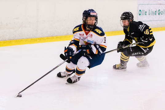 Bläddra bland fler bilder av Ishockey, SDHL, AIK - Djurgården