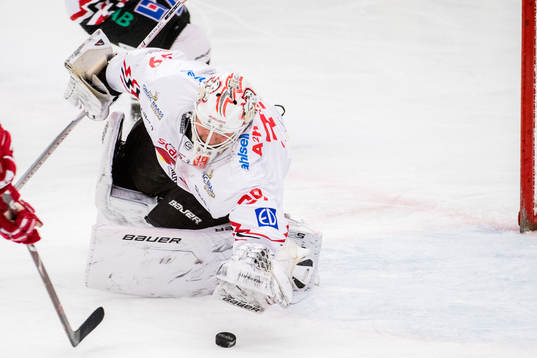 Vita Hästens målvakt Viktor Kokman