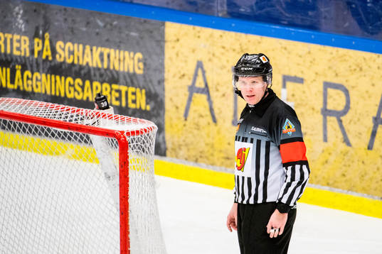 Domare Anders Sandahl