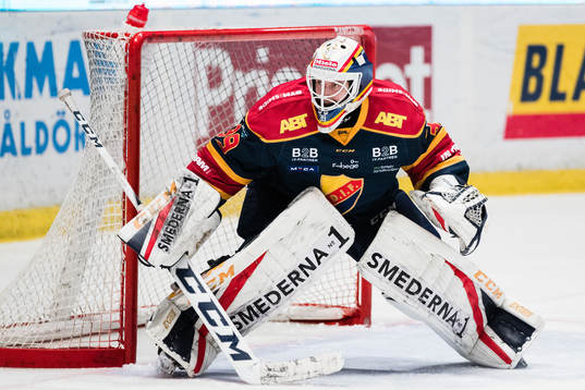 Djurgårdens målvakt Adam Reideborn