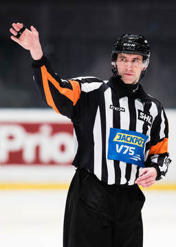 Domare Linus Öhlund