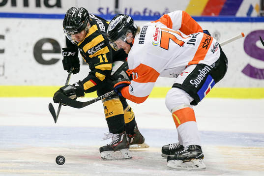 Skellefteås Henrik Hetta