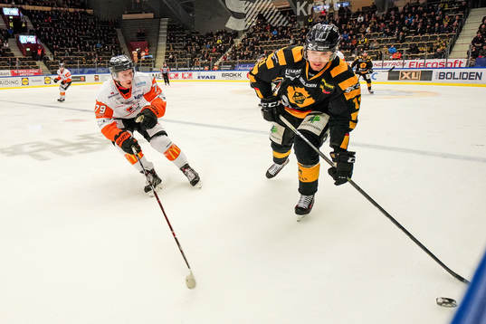Skellefteås Henrik Hetta
