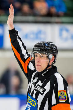 Domare Morgan Johansson