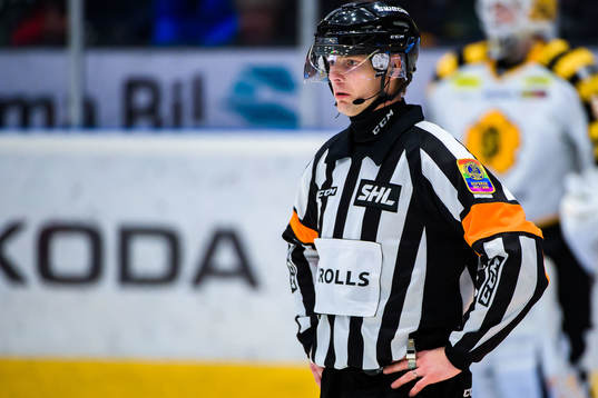 Domare Mikael Andersson