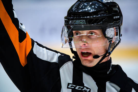 Domare Mikael Andersson