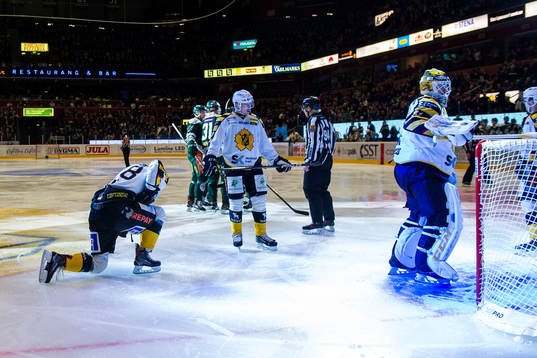 Skellefteås Pontus Petterström, Emil Djuse och målvakt