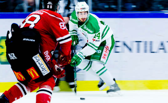 Rögles Johan Zarwel