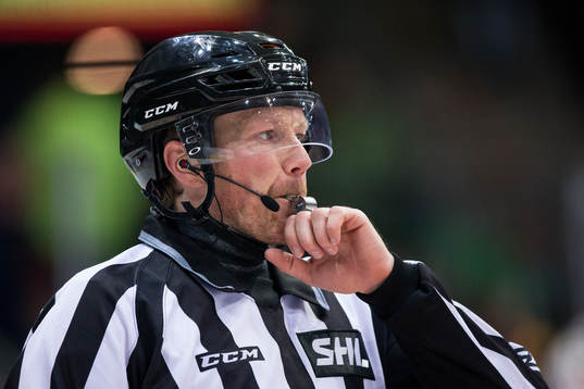 Linjedomare Henrik Pihlblad