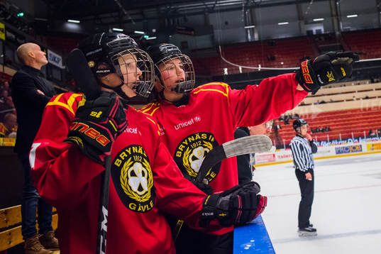 Bläddra bland fler bilder av Ishockey, SDHL, Brynäs - HV71