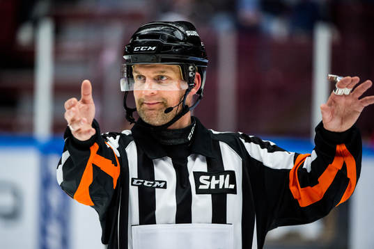 Domare Mikael Nord